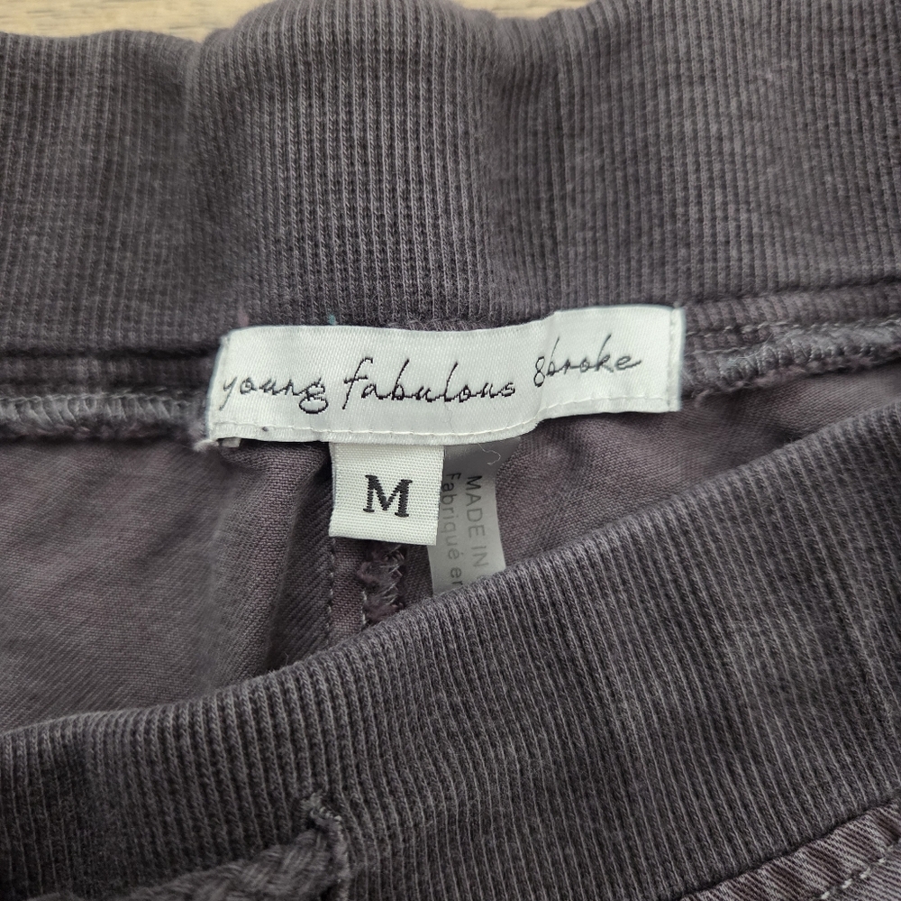 Young Fabulous And Broke Juniper Joggers - Picture 9 of 14